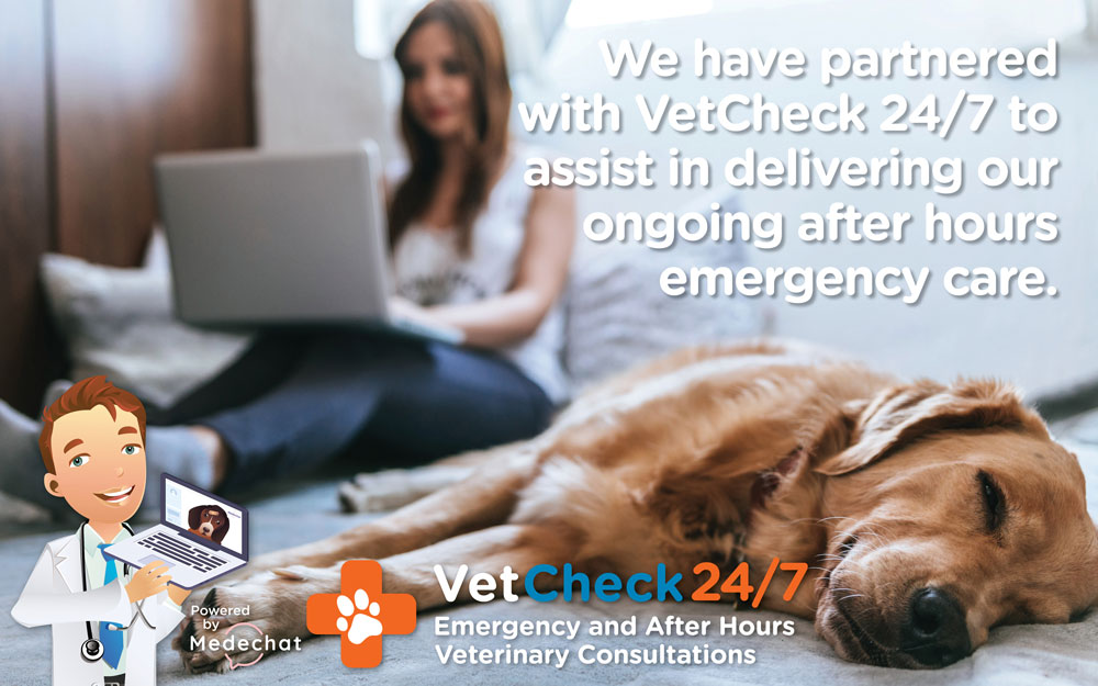 VetCheck Email